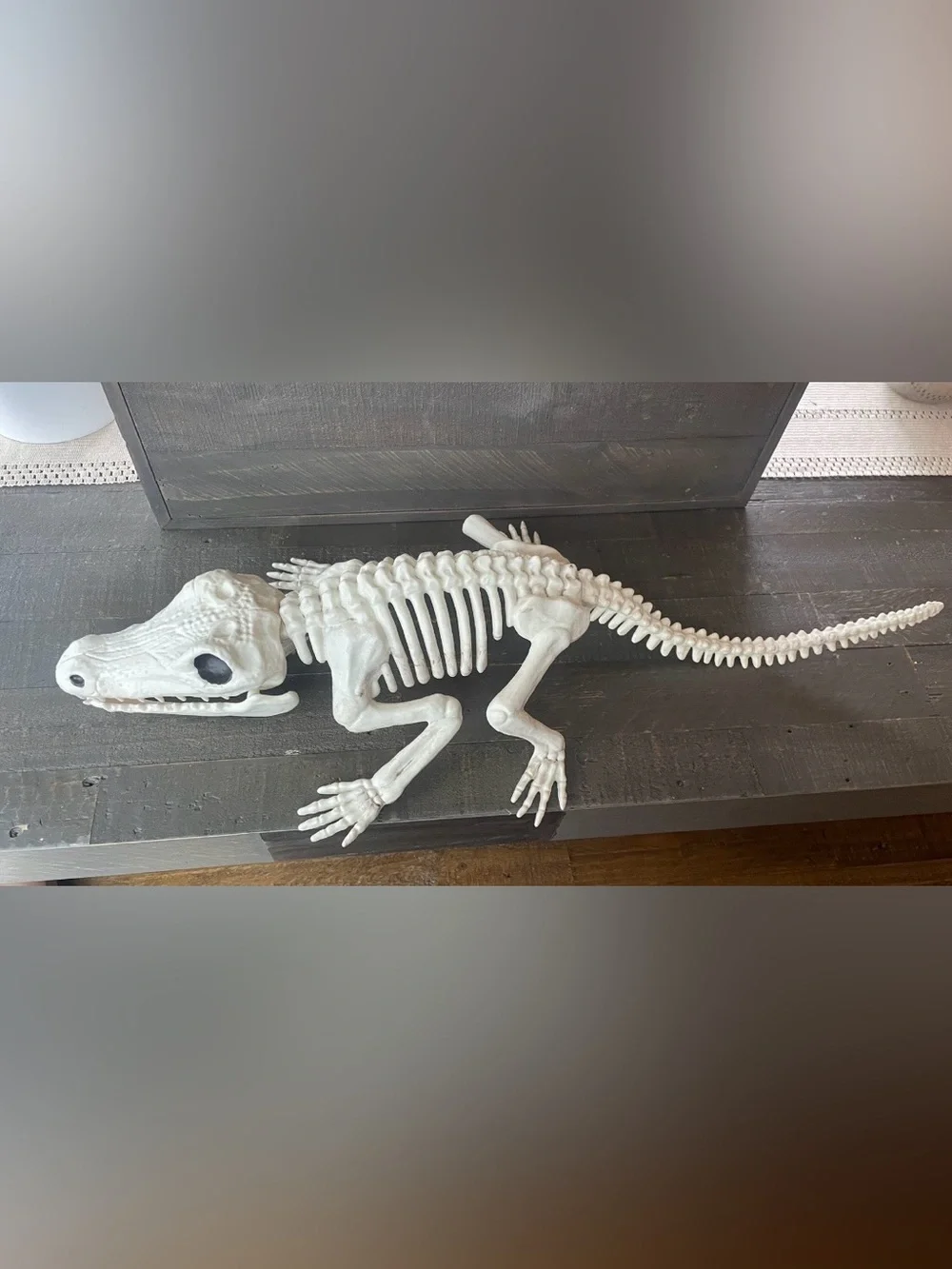 White Alligator/ Crocodile Skeleton Decor for Pets & Terrariums